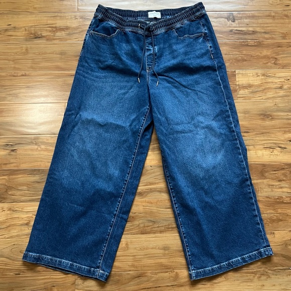 Lane Bryant Denim - Lane Bryant High Rise Wide Leg Drawstring Pants 16